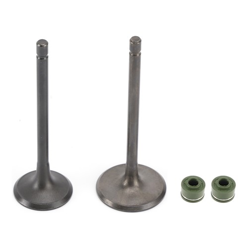 Engine head intake exhaust - intake,